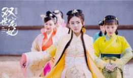 宠妃 电视剧,宫廷爱恨情仇的华丽演绎
