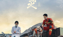 守卫者电视剧,守护正义的守护者